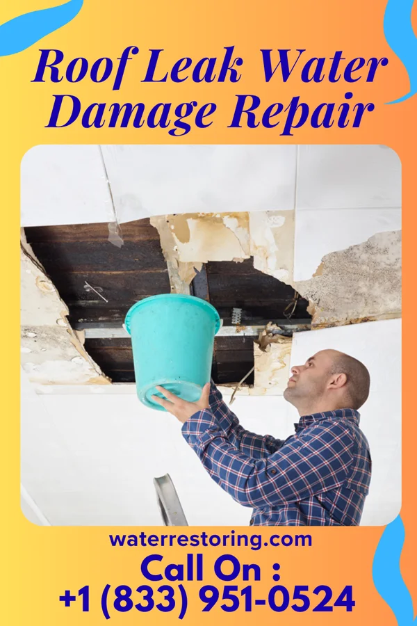 Roof Leak Water Damage Repair in Akron, CO